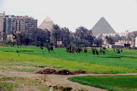 Вид пирамид Хефрена и Хеопса (справа) со стороны Каира