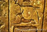 Сет с телом собаки. Фрагмент рельефа из храма Сета в Омбосе (Нагада). XVIII династия. Музей Петри